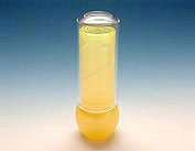 Lipstick Container LS-106B